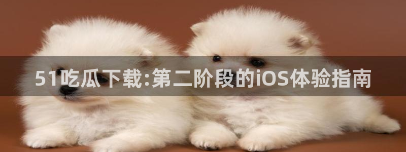 51吃瓜下载:第二阶段的iOS体验指南