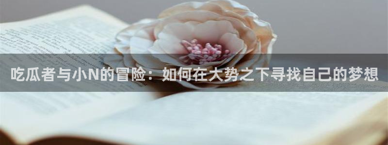 吃瓜者与小N的冒险：如何在大势之下寻找自己的梦想